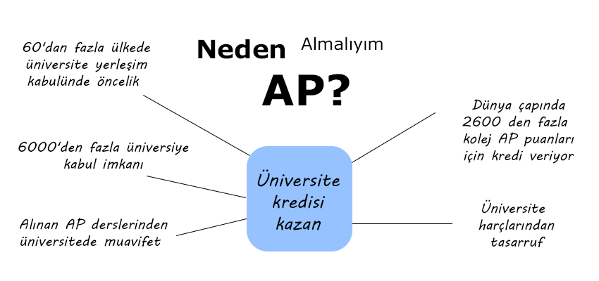ap programı